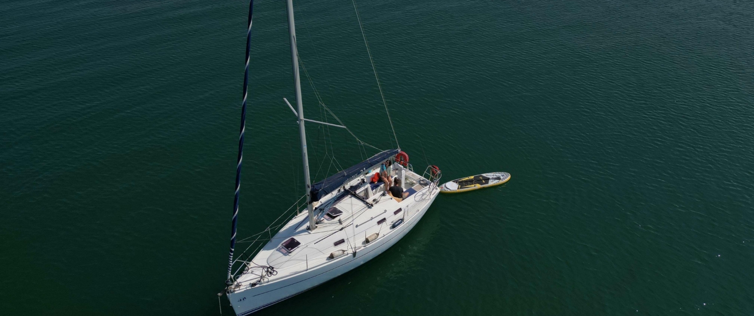 HARMONYHARMONY 31