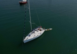 HARMONYHARMONY 31