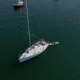 HARMONYHARMONY 31