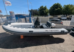3D TENDER500 DREAM
